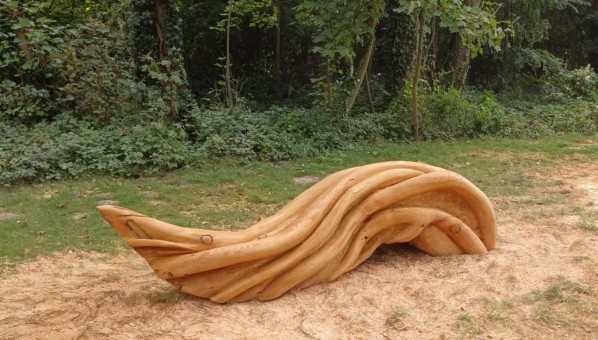 Systèmes racinaires